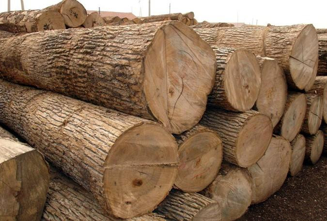 ���޷�����ԭľ�������