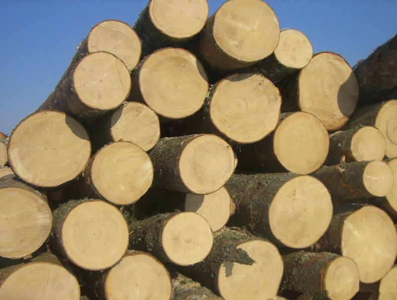 �ľԭľ������ҪѬ����